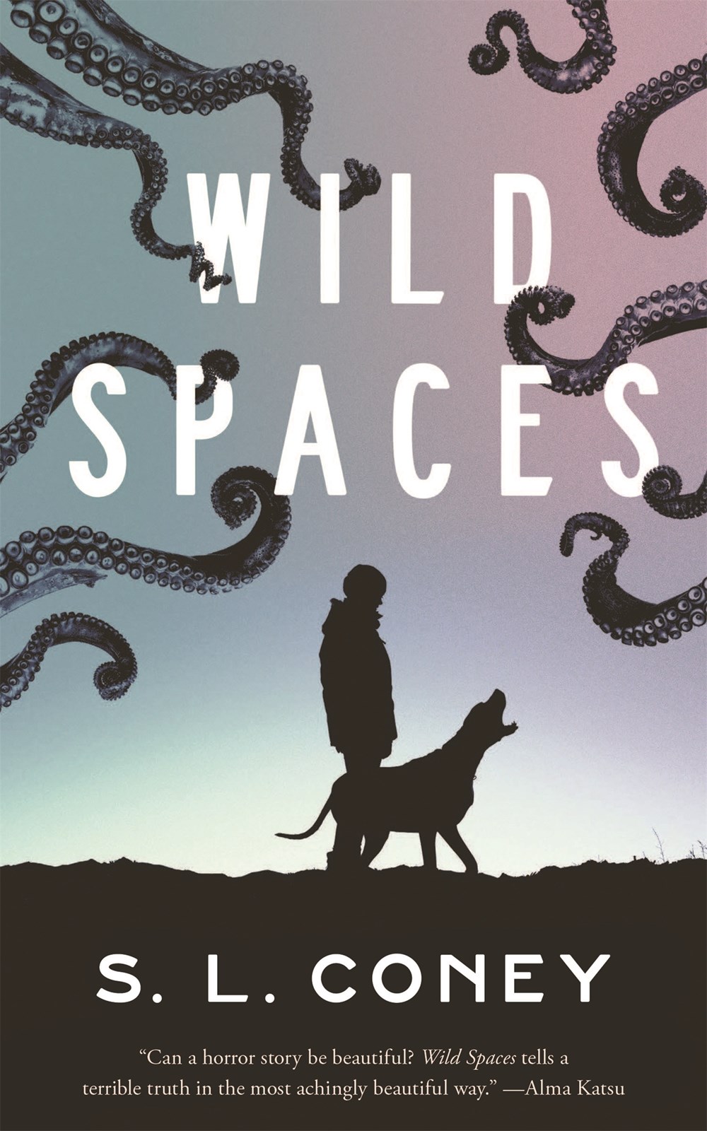 Wild Spaces by S. L. Coney